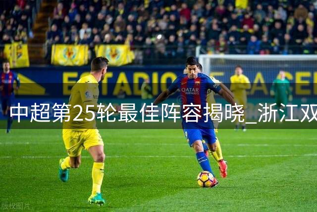 中超第25轮最佳阵容揭晓 浙江双核闪耀赛场